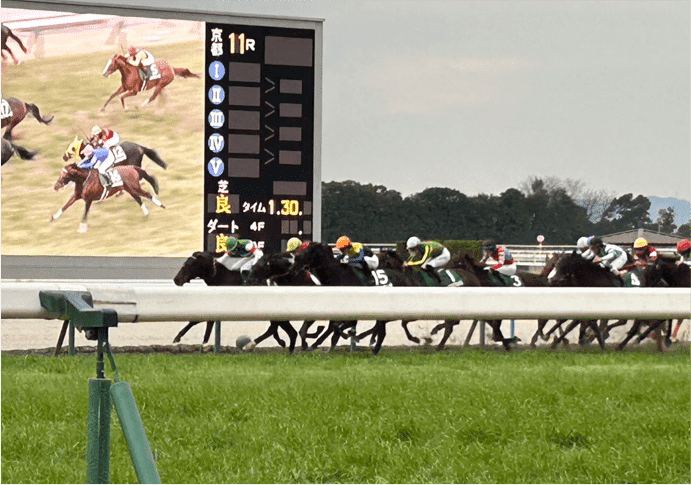 馬券を買うべき1頭ご優待無料開放サービス