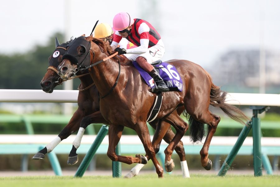 ウインカーネリア