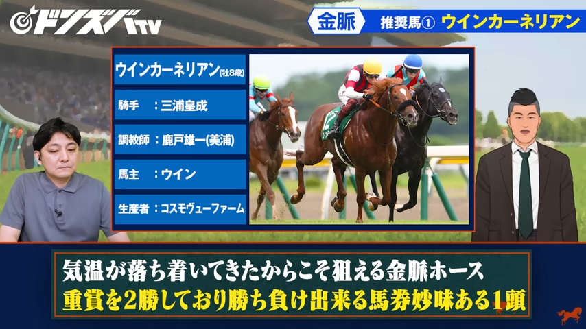 ドンズバTV【優馬JAPAN】