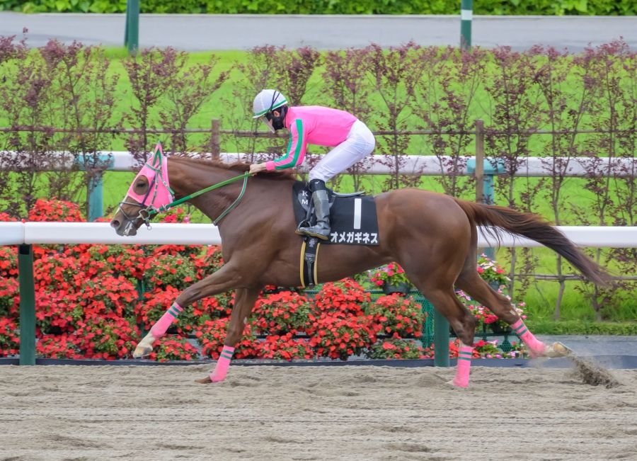 特別戦レース後インタビュー