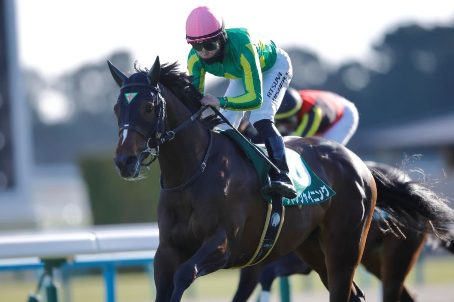 サトノシャイニング