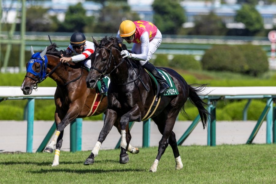 ★ウマ娘馬券★ スペシャルウィーク 第59回菊花賞 現地単勝馬券 競馬予想】菊花賞を的中させた「ウマ娘馬券」で天皇賞・秋を