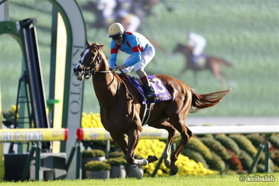 優馬JAPAN(旧：競馬JAPAN)