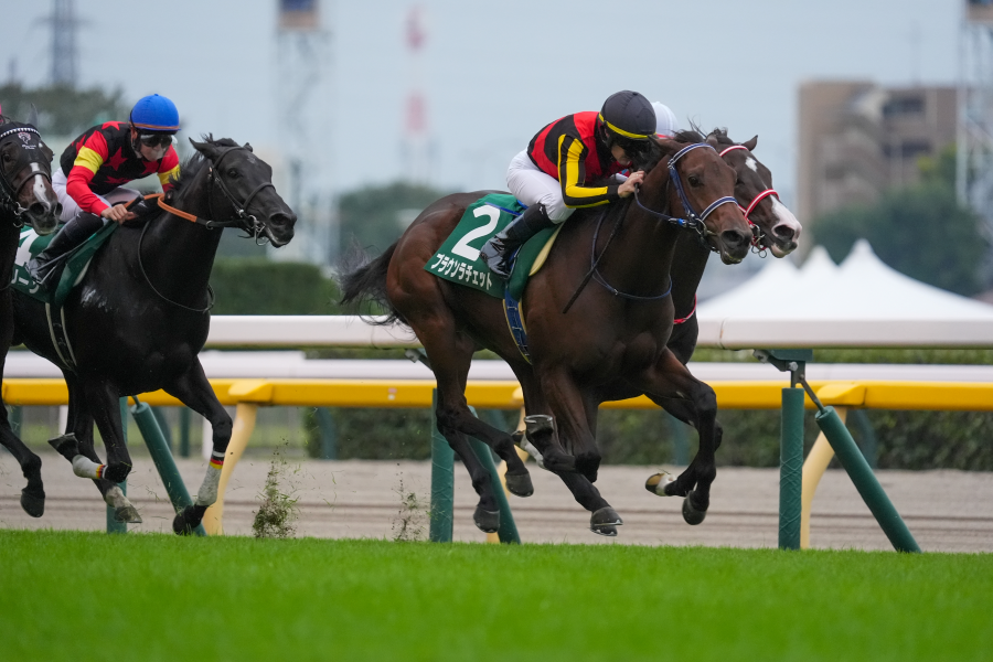 優馬JAPAN(旧：競馬JAPAN)