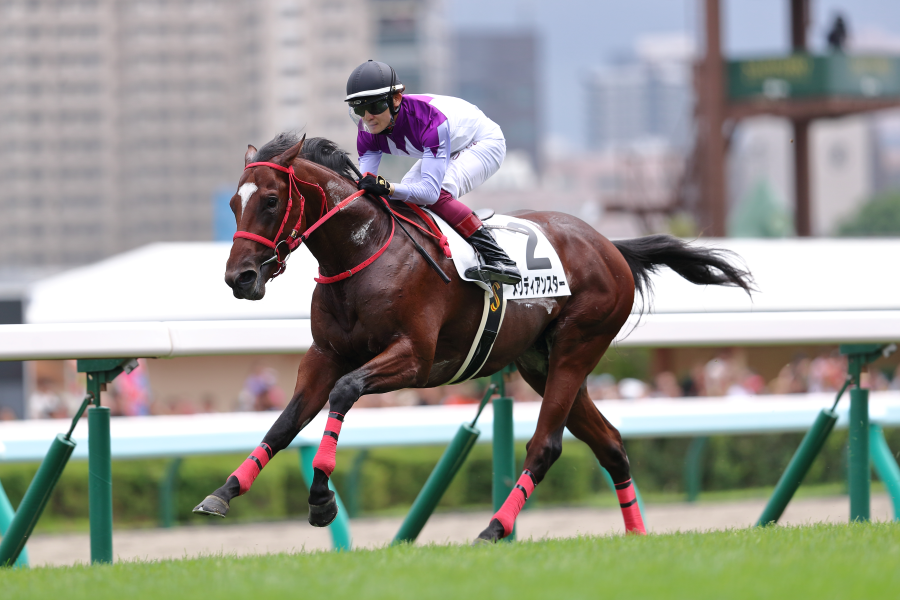 フクチャントウメイ