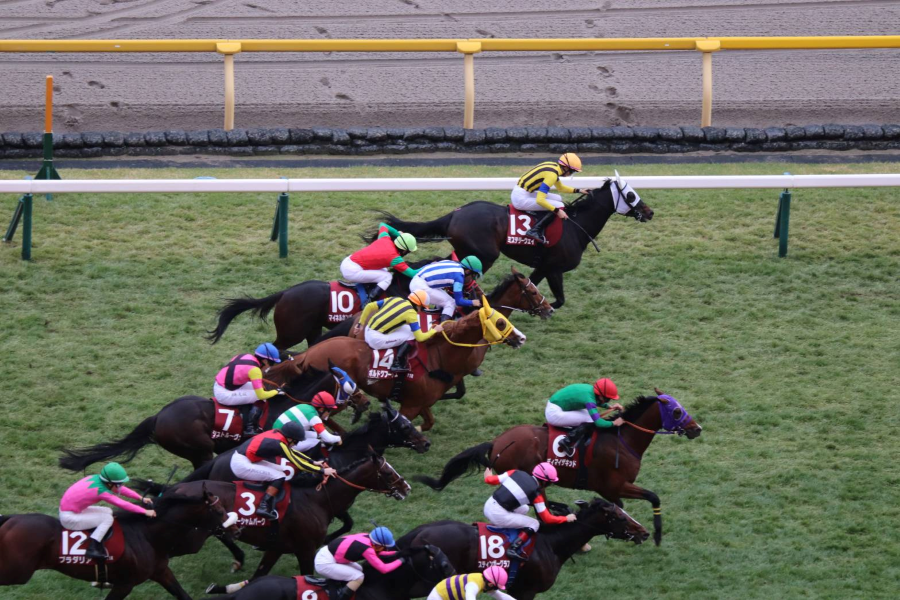 【AR共和国杯ほか】レース後速報