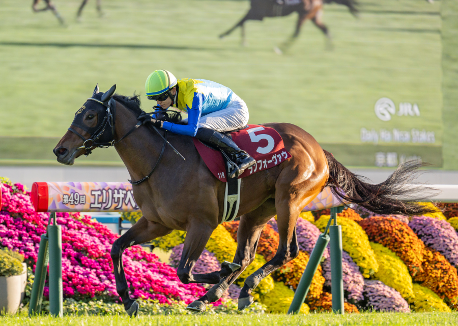 デイリー杯2歳S