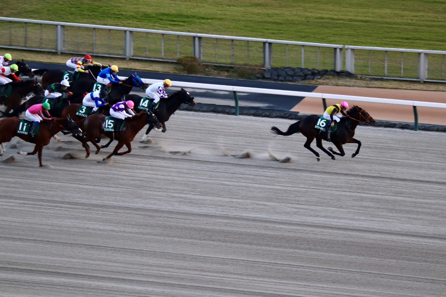 【武蔵野Sほか】レース後速報