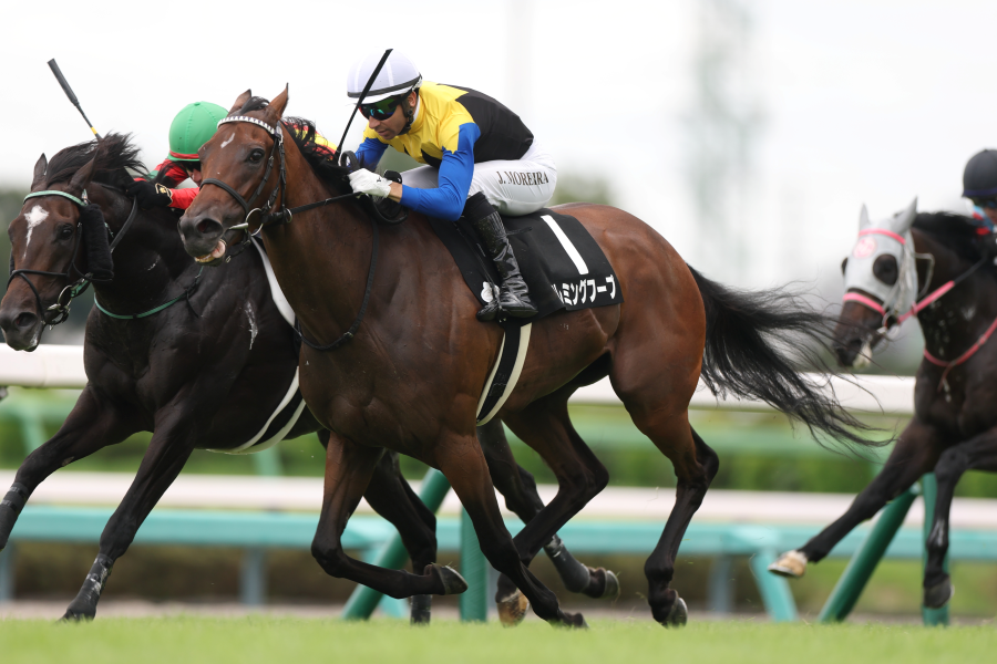 【オーロCほか】レース後速報