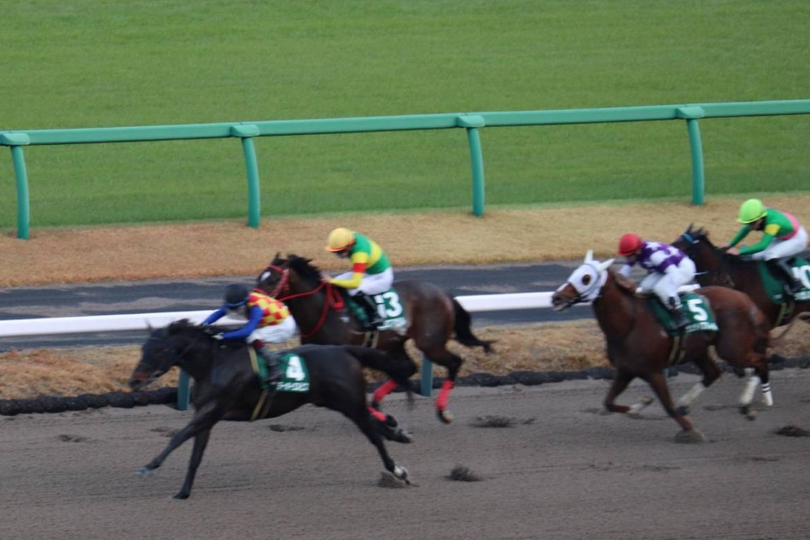 【カペラSほか】レース後速報