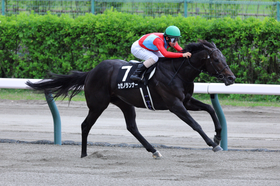 【フェアリーSほか】レース後速報