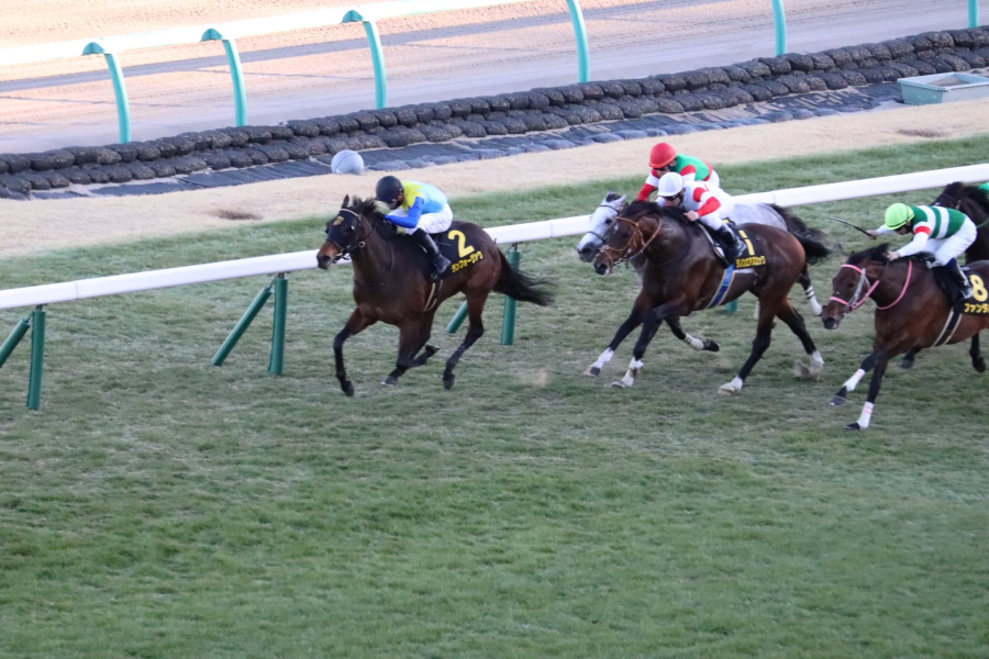 【ニューイヤーSほか】レース後速報