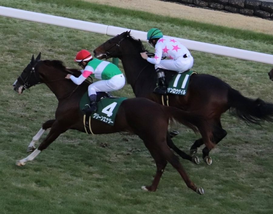 【京成杯ほか】レース後速報