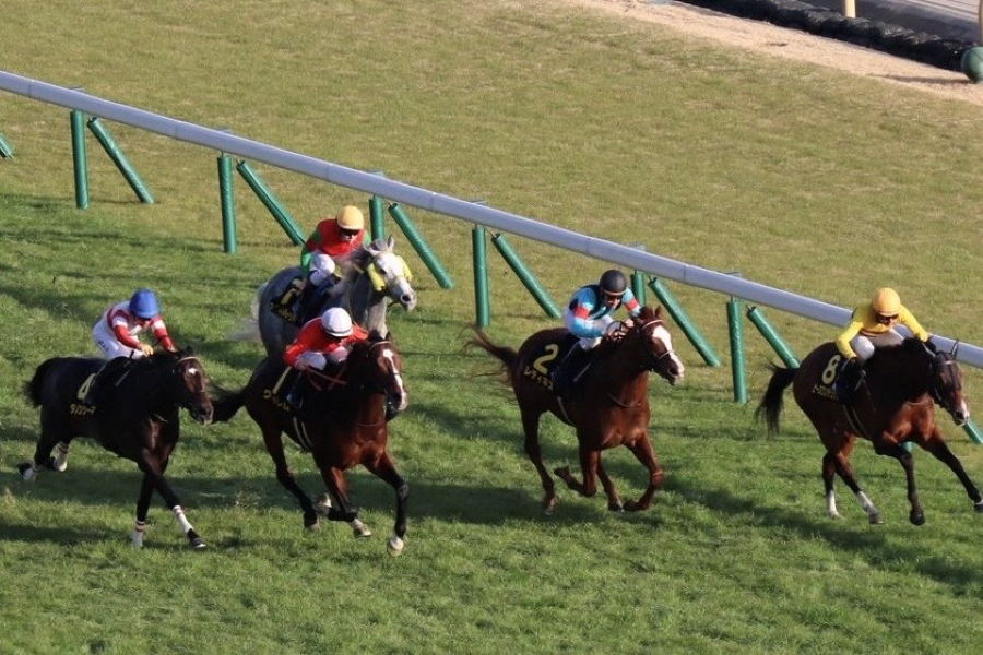 【白富士Sほか】レース後速報