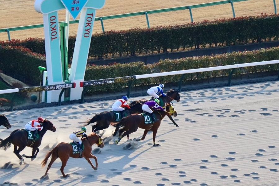 【根岸Ｓほか】レース後速報