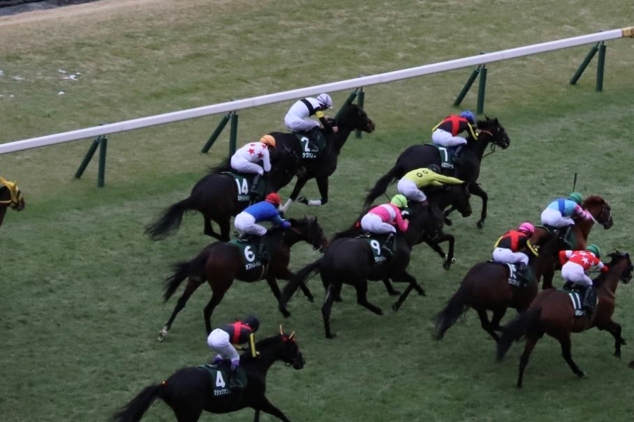 【東京新聞杯ほか】レース後速報