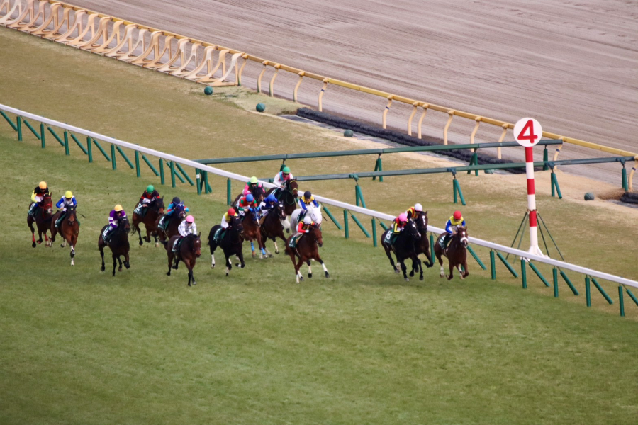 【クイーンCほか】レース後速報