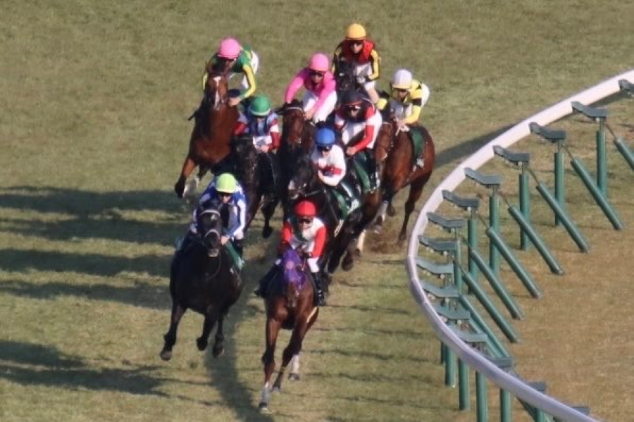 【共同通信杯ほか】レース後速報