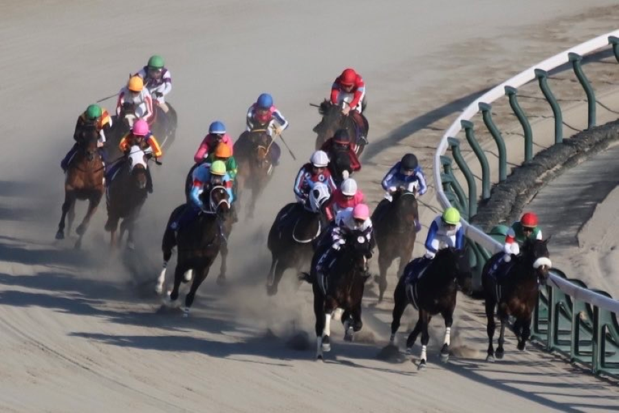 【フェブラリーSほか】レース後速報