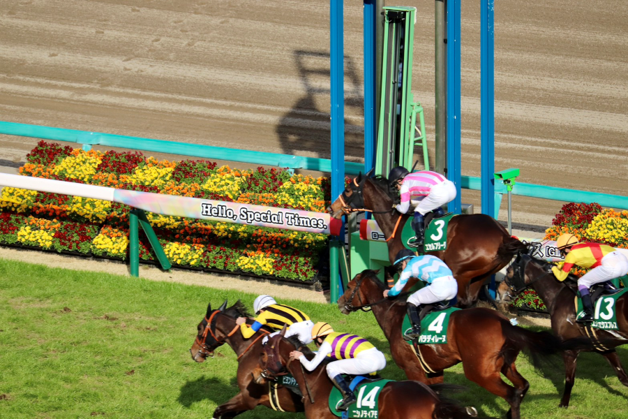 【中山牝馬Sほか】レース後速報