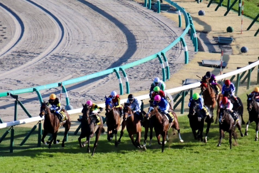 【アネモネSほか】レース後速報