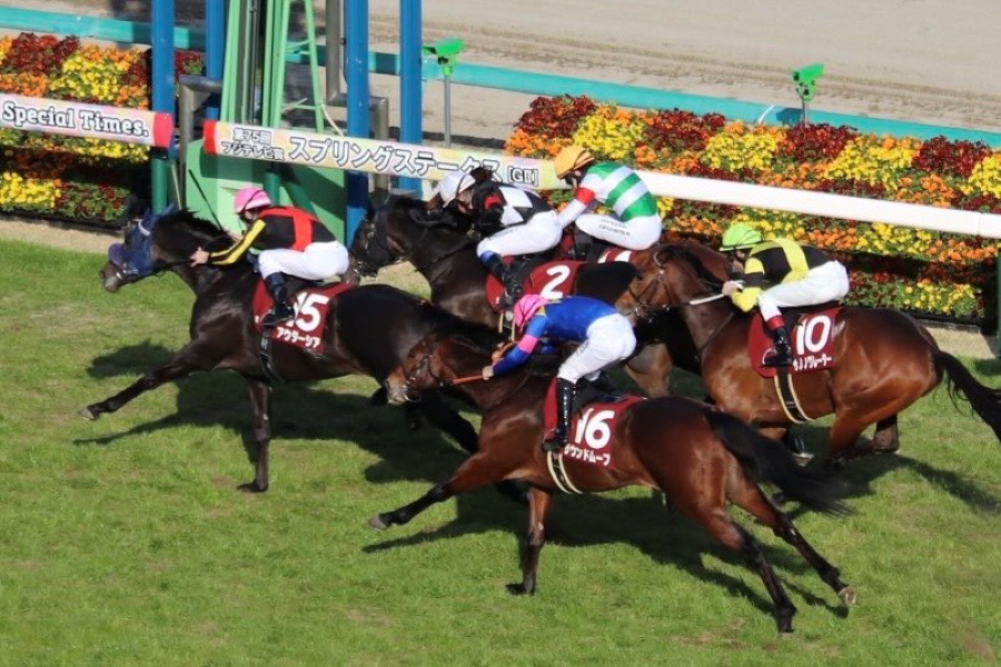 【スプリングSほか】レース後速報