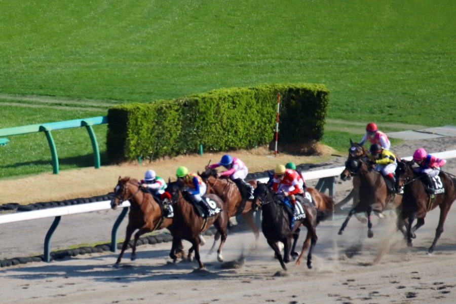 レース後速報