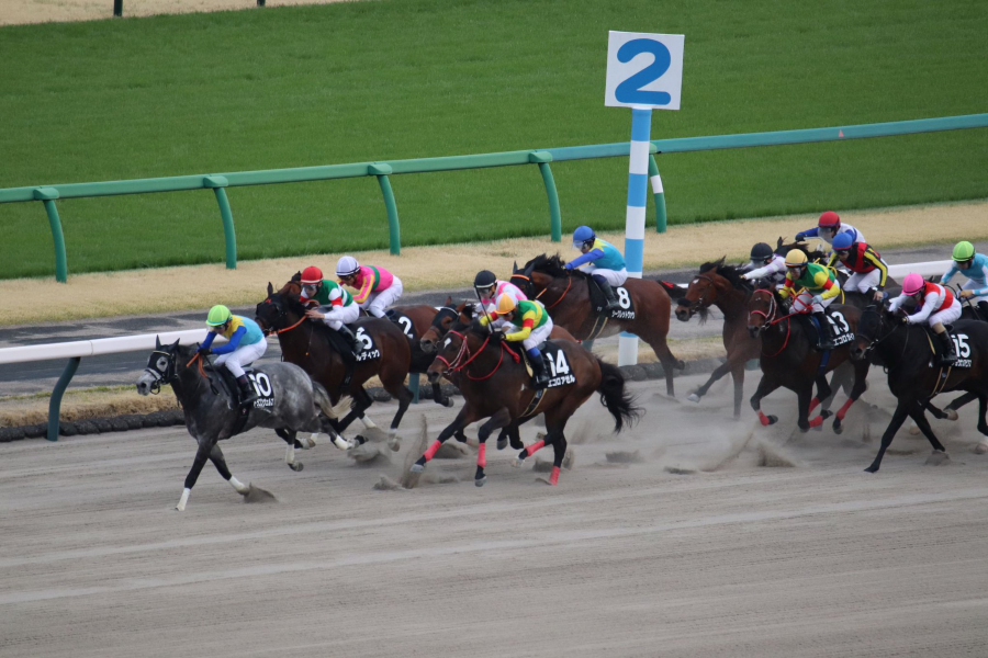 【千葉Sほか】レース後速報