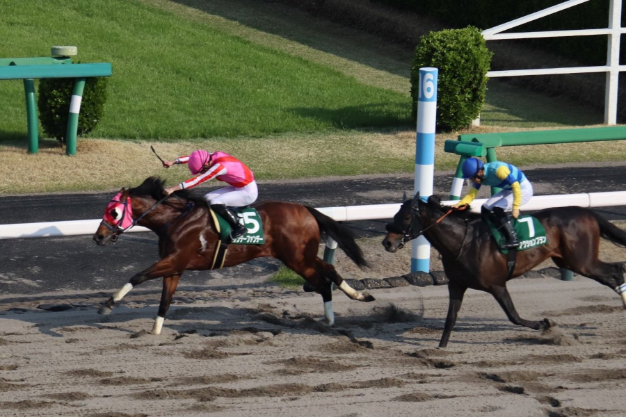 【マーチSほか】レース後速報