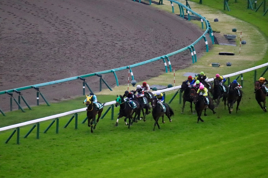 【ダービー卿CTほか】レース後速報