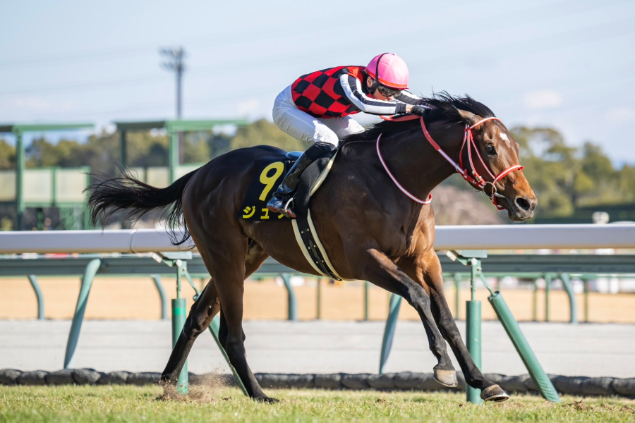 【美浦Sほか】レース後速報