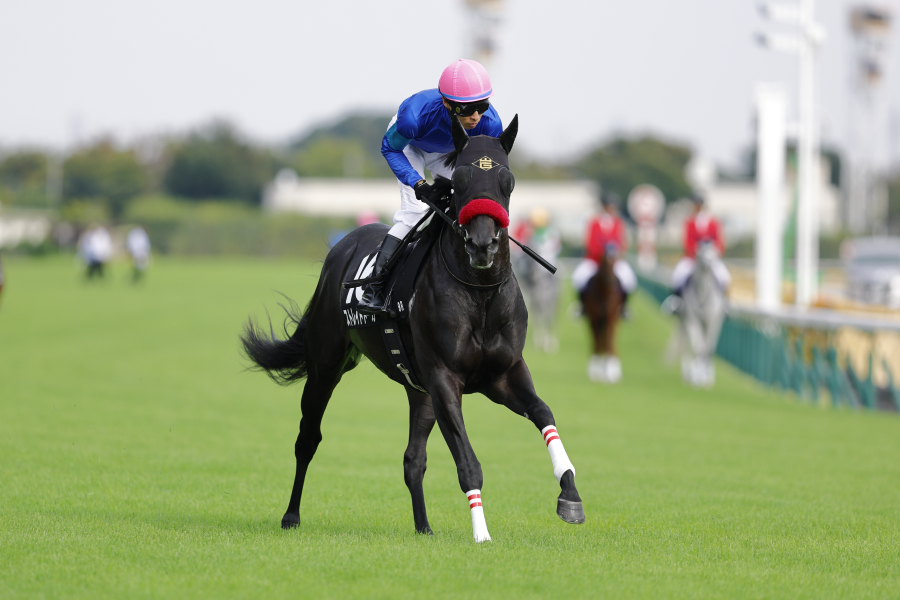 【春雷Sほか】レース後速報