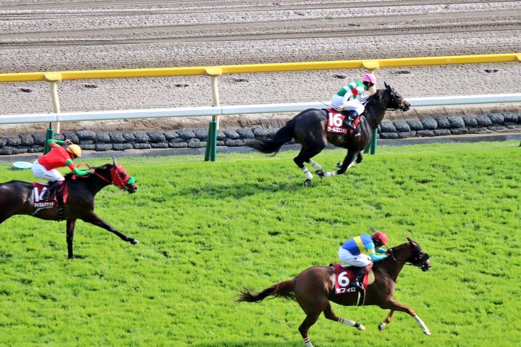 レース後速報