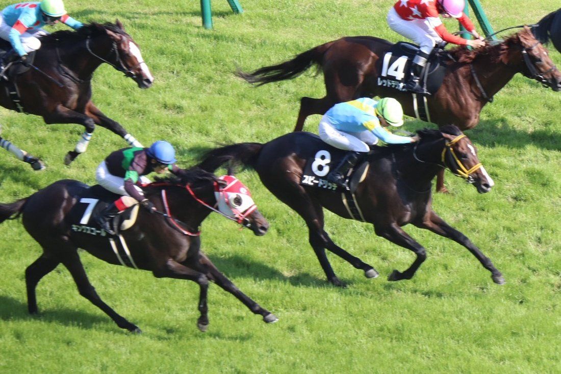 レース後速報