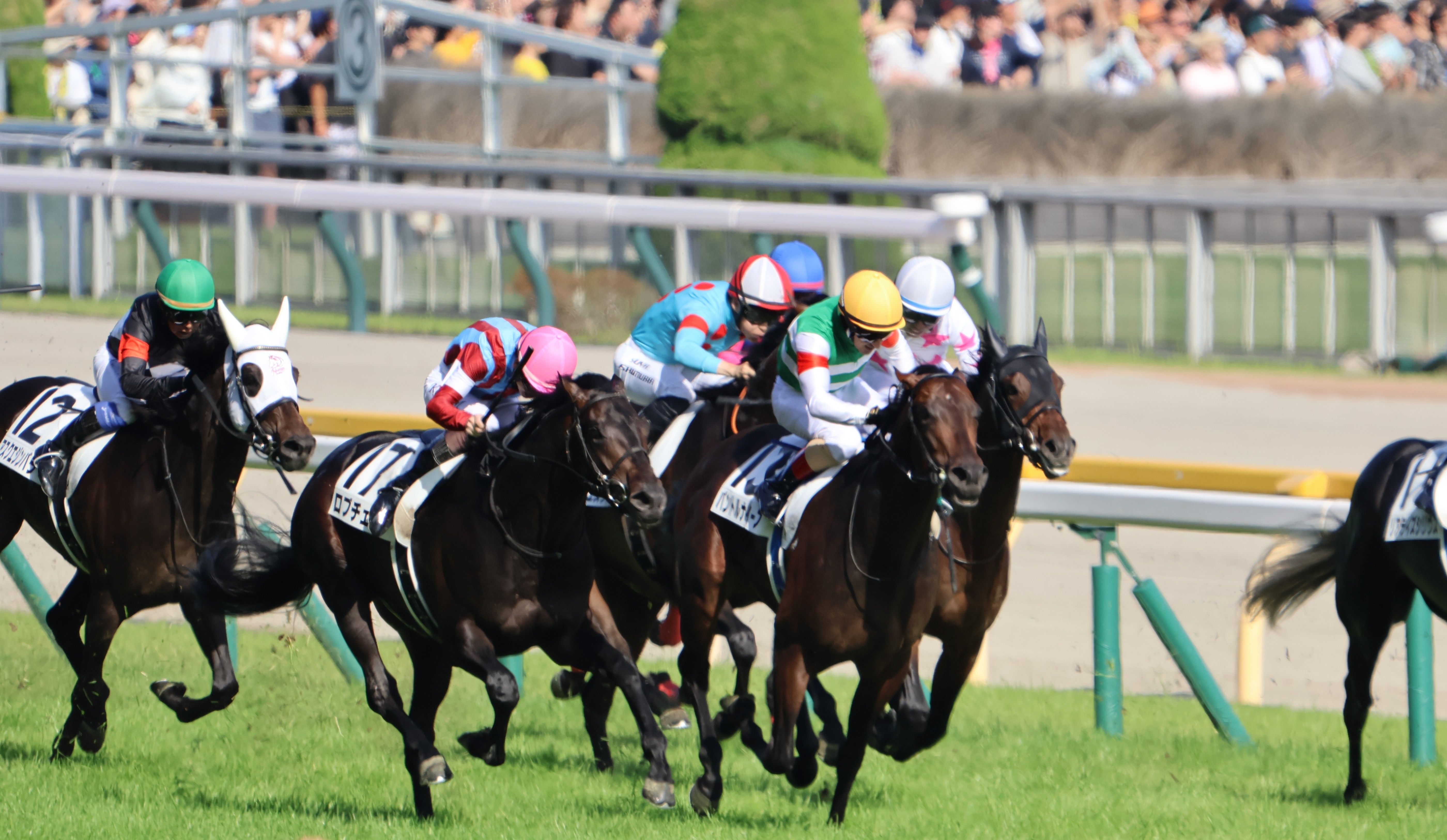 【日本ダービーほか】レース後速報