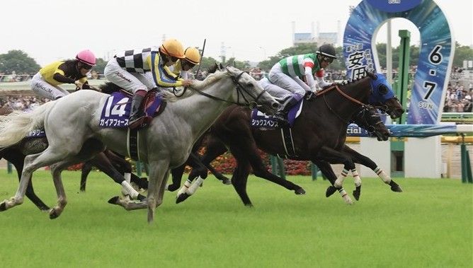 レース後速報