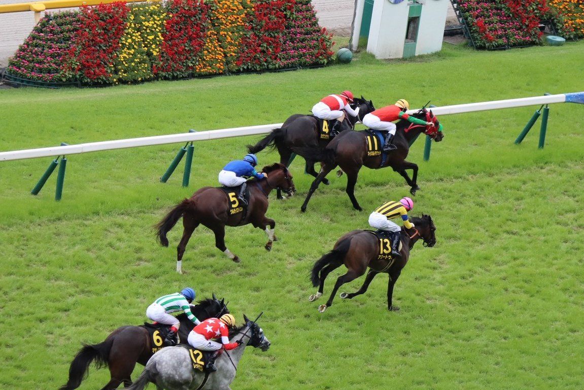 レース後速報