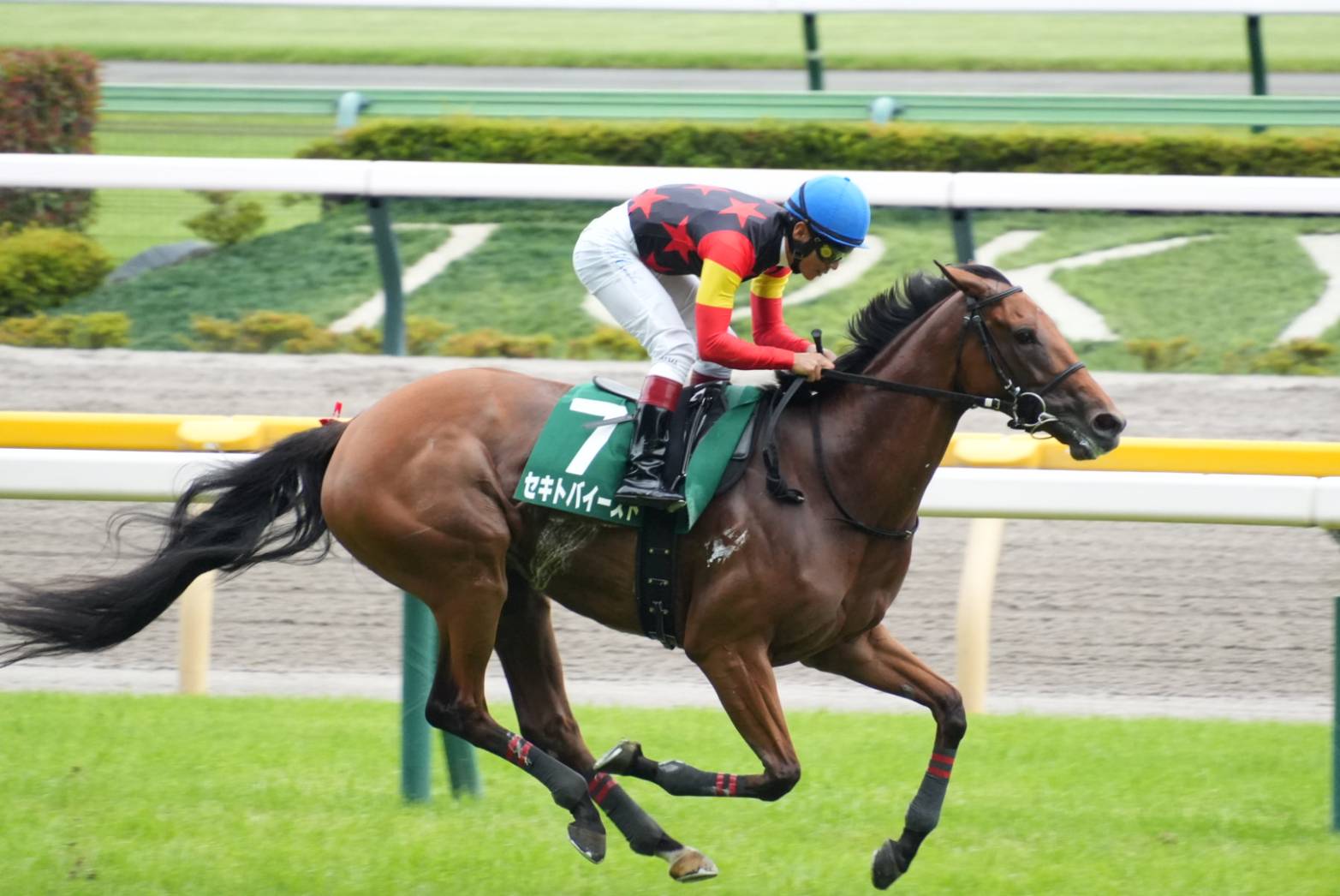 【府中牝馬Ｓほか】レース後速報
