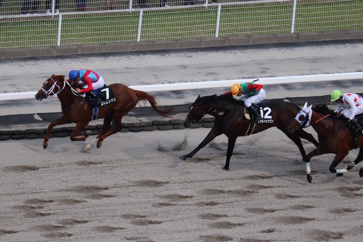 【ジュライＳほか】レース後速報