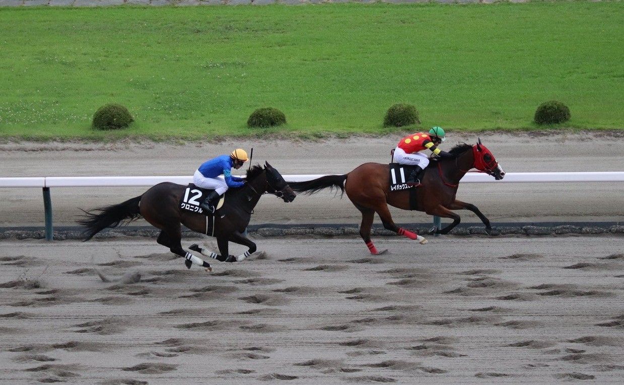 レース後速報