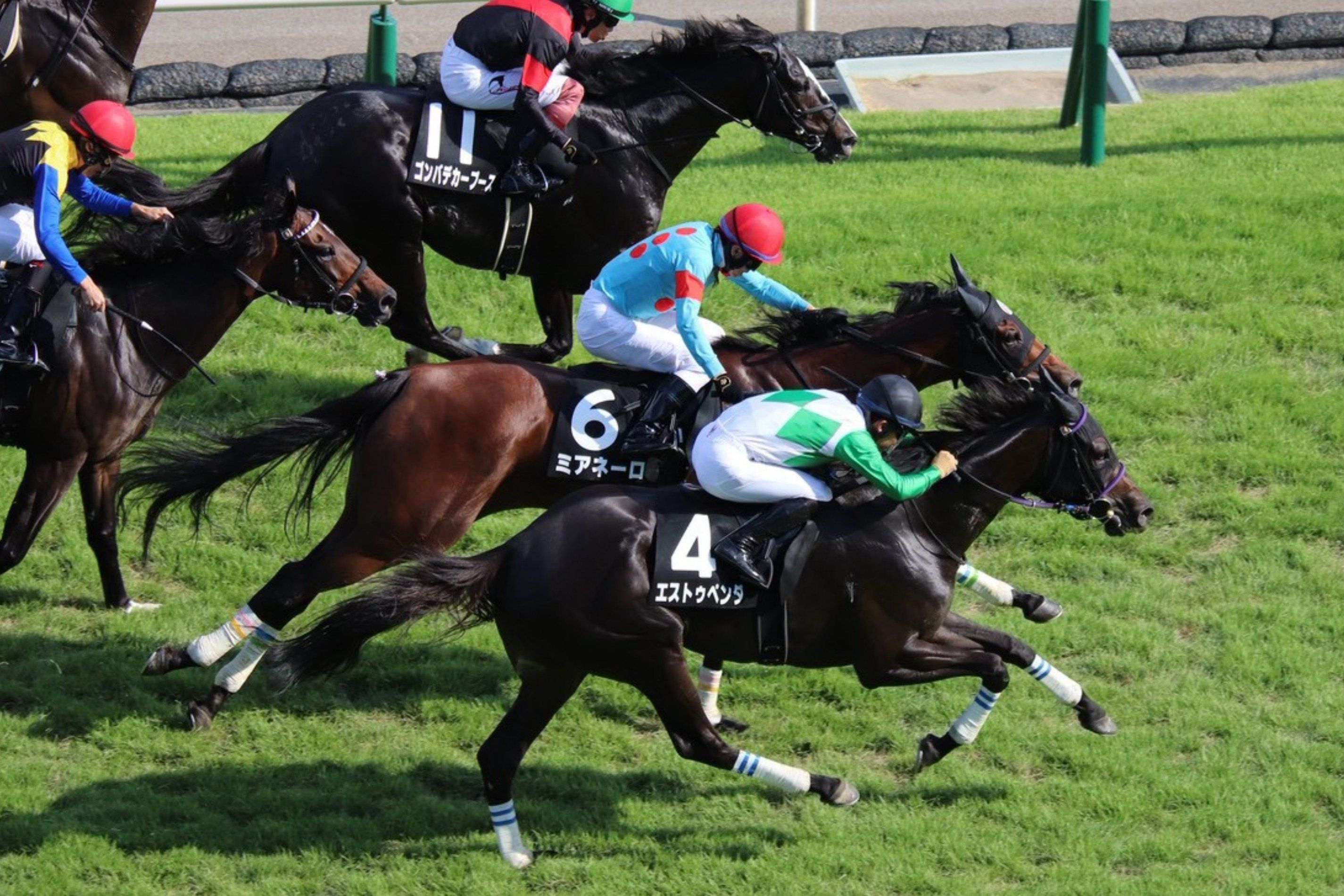 【関越Ｓほか】レース後速報