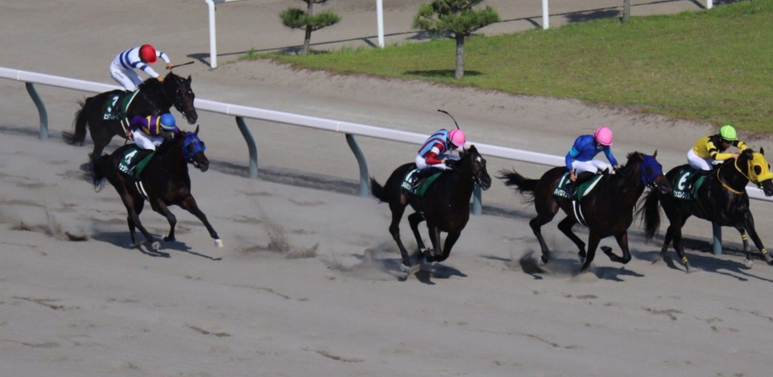 レース後速報