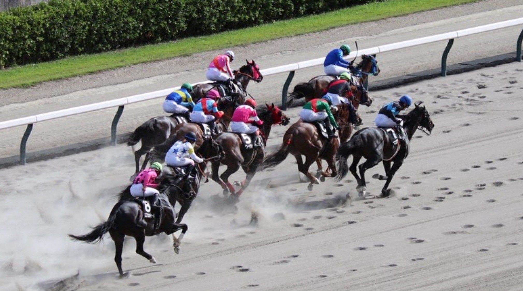 【上越Ｓほか】レース後速報