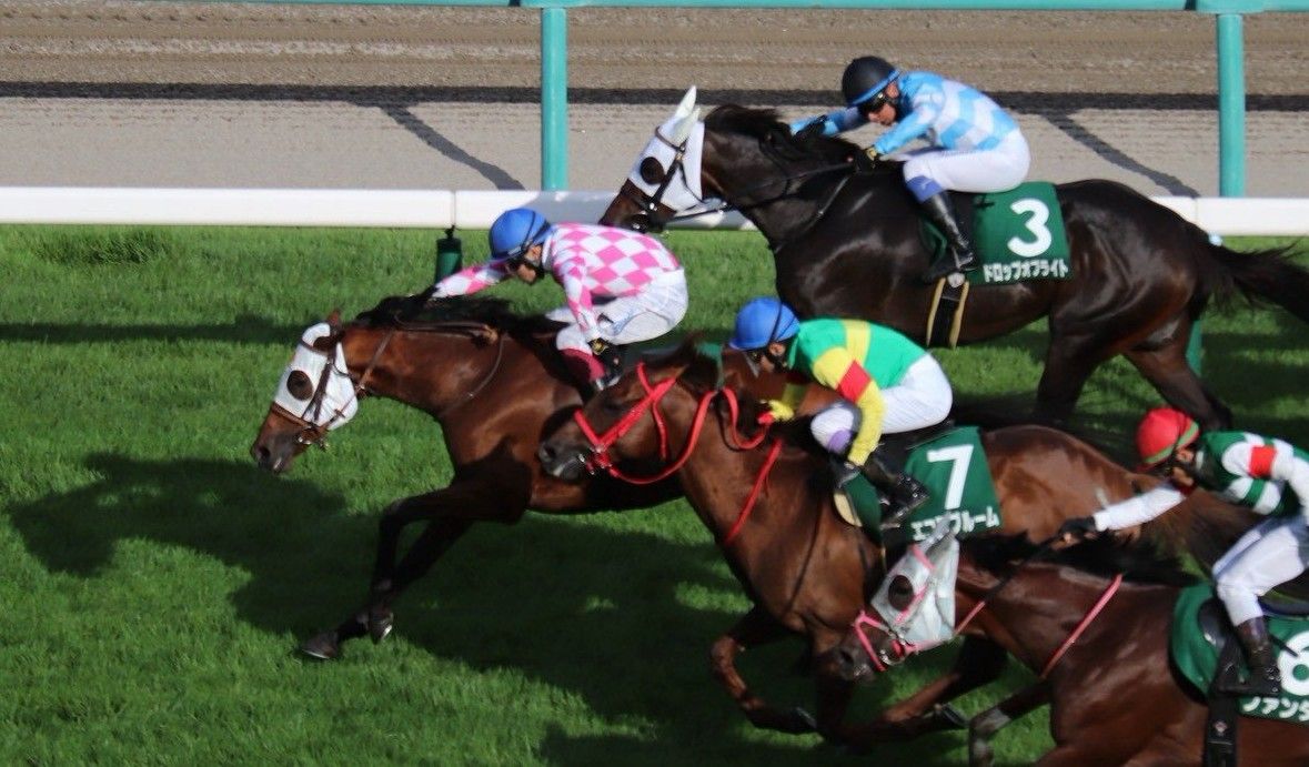 【京成杯ＡＨほか】レース後速報