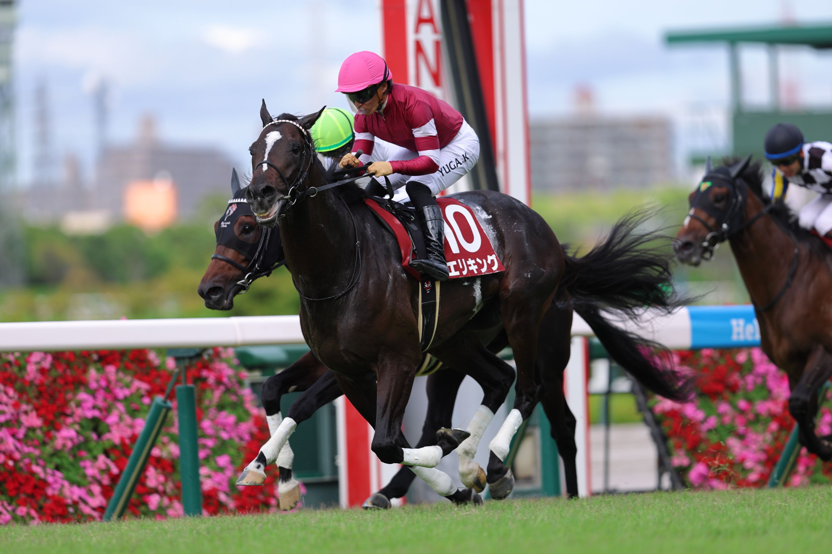 神戸新聞杯