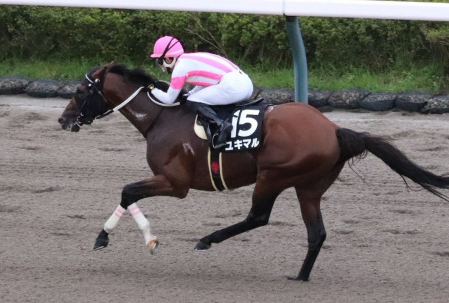 【ラジオ日本賞ほか】レース後速報