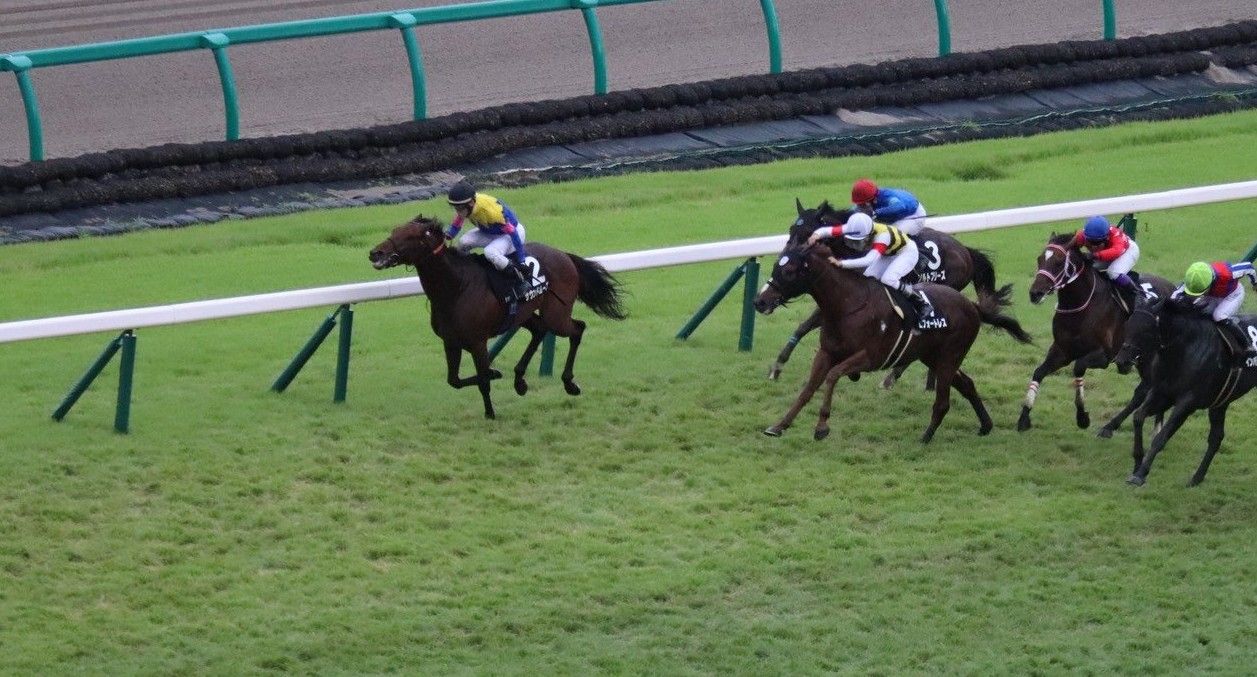 【秋風Ｓほか】レース後速報