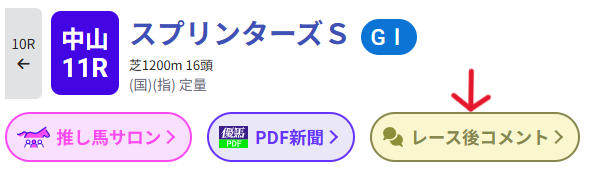 レース後コメント