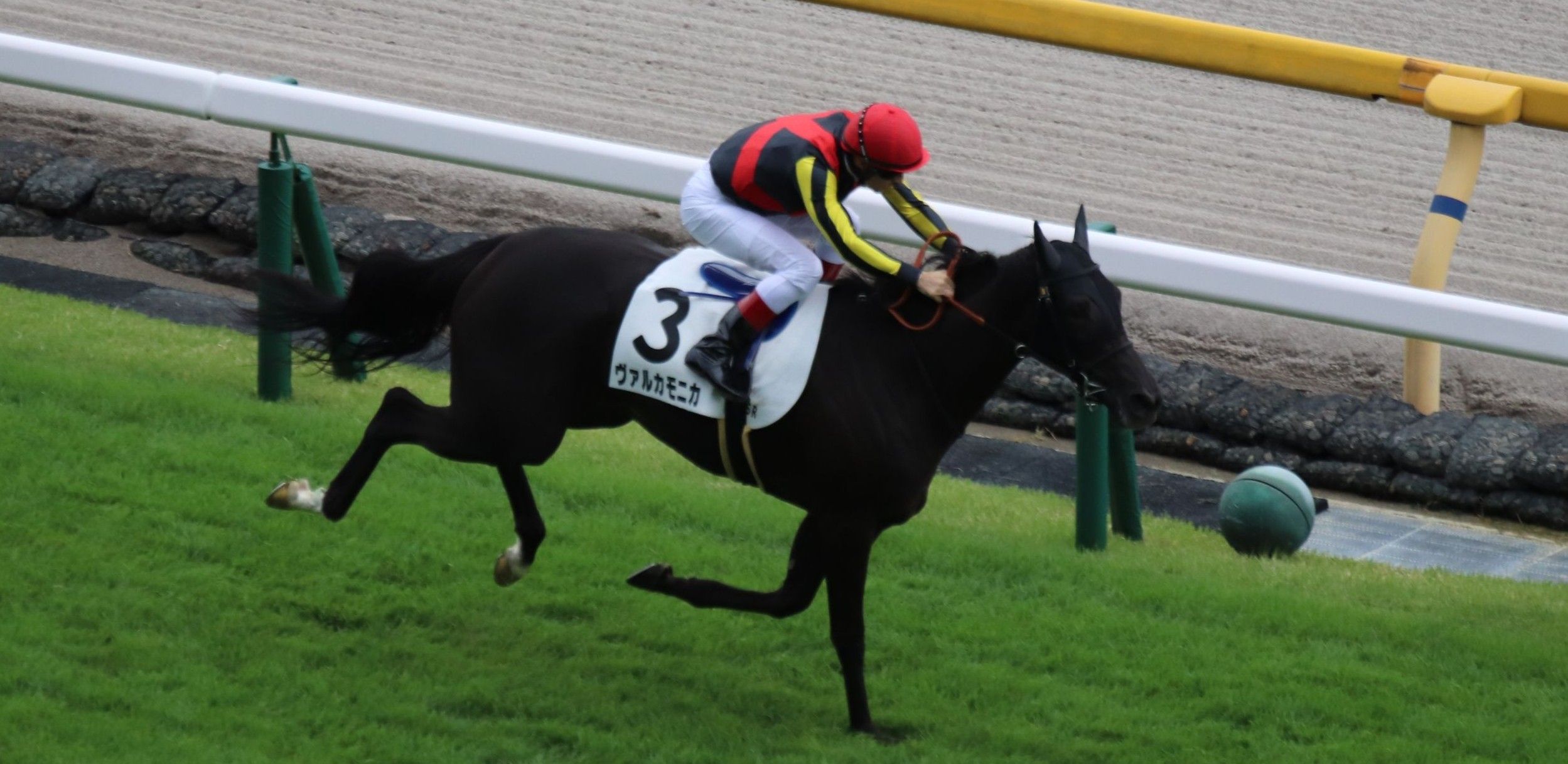 【検量室前インタビュー】土曜東京２歳新馬・レース後コメント