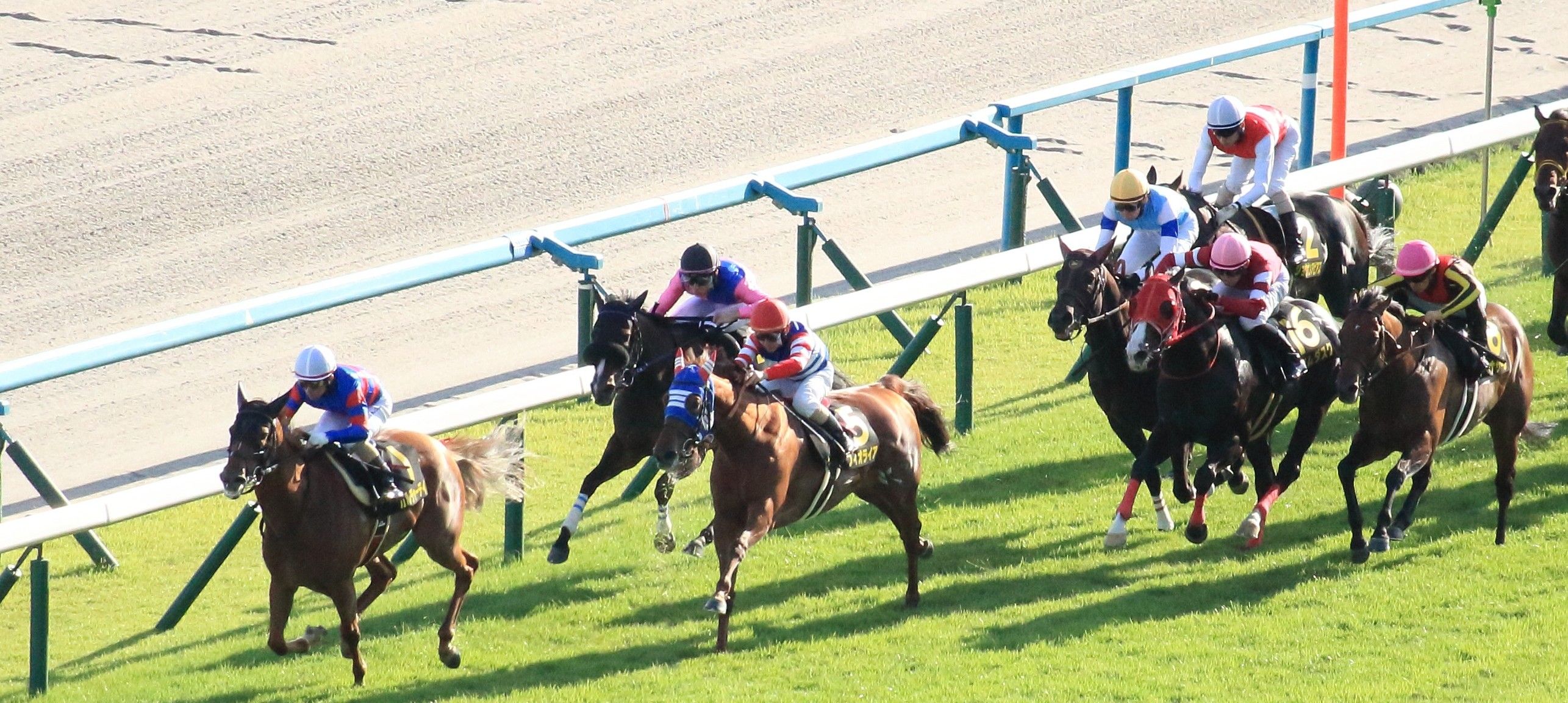 【検量室前インタビュー】オパールＳなど・土曜京都レース後コメント